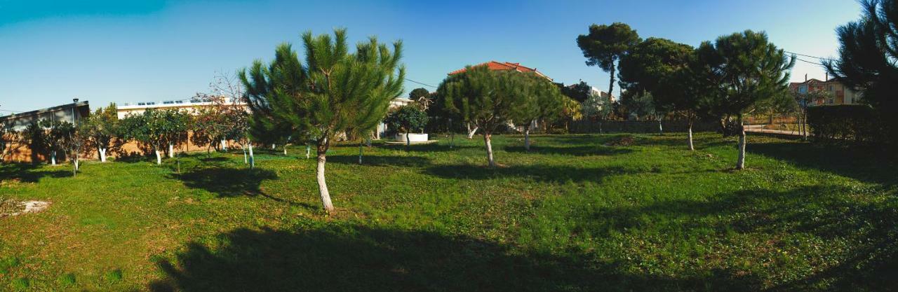 Villa Moby Dick Μύτικας Εξωτερικό φωτογραφία